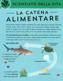 Apprendisti Scienziati