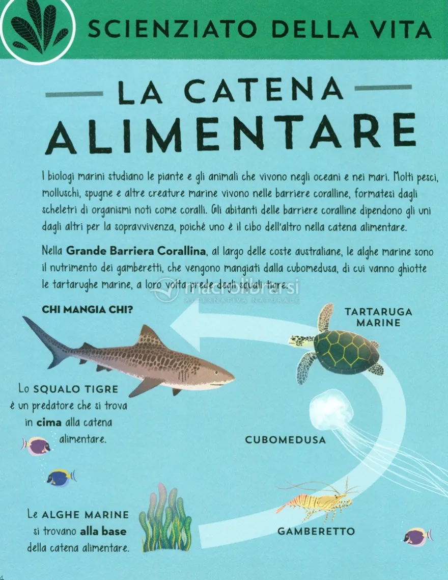 Apprendisti Scienziati