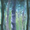 Arboreto Salvatico