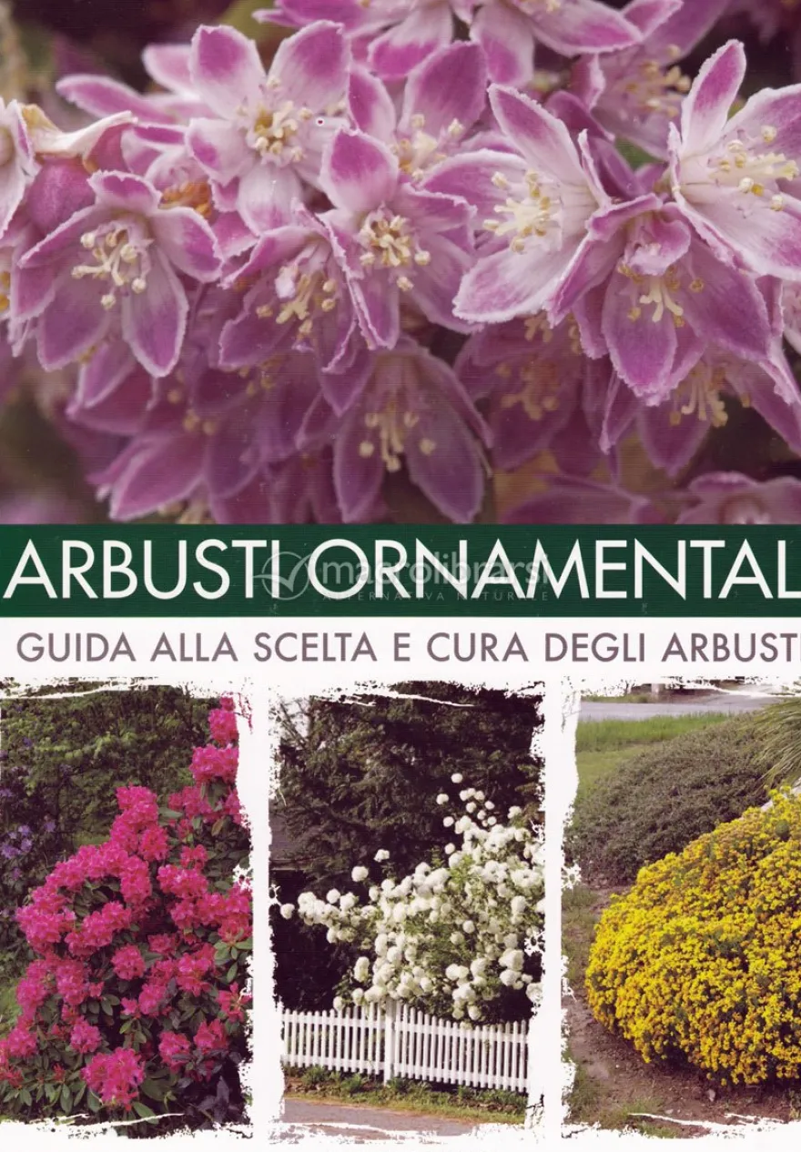 Arbusti Ornamentali
