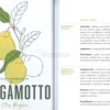 Aromaterapia Energetica
