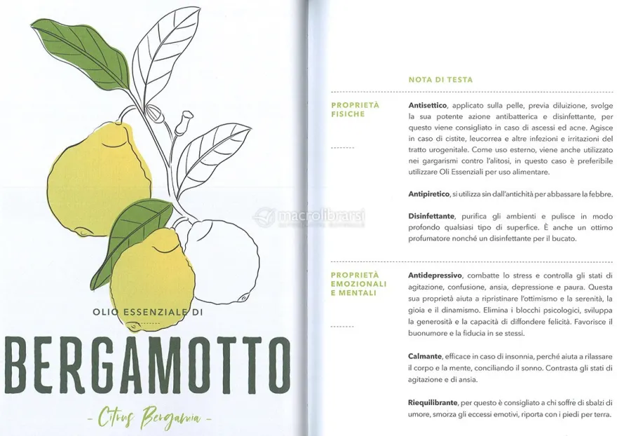 Aromaterapia Energetica