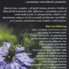 Aromaterapia per Tutti