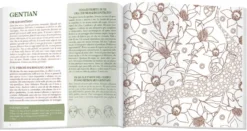 Art Therapy e Fiori di Bach