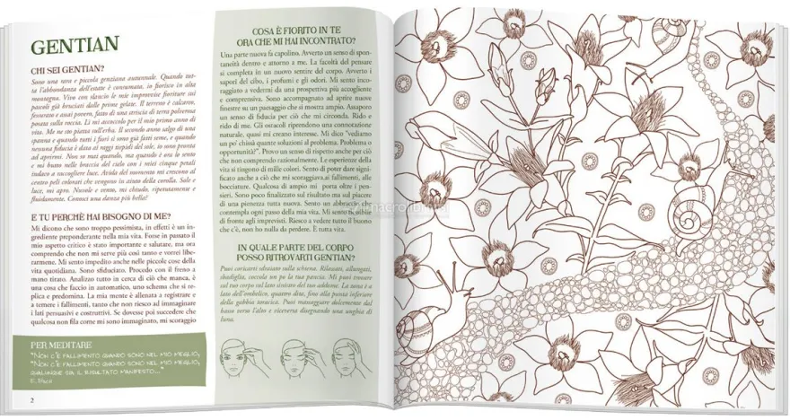 Art Therapy e Fiori di Bach