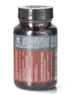 Ashwagandha Fermentata