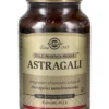 Astragali