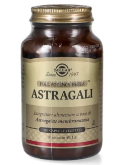 Astragali