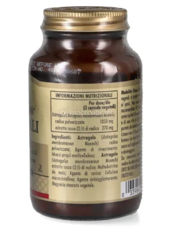 Astragali