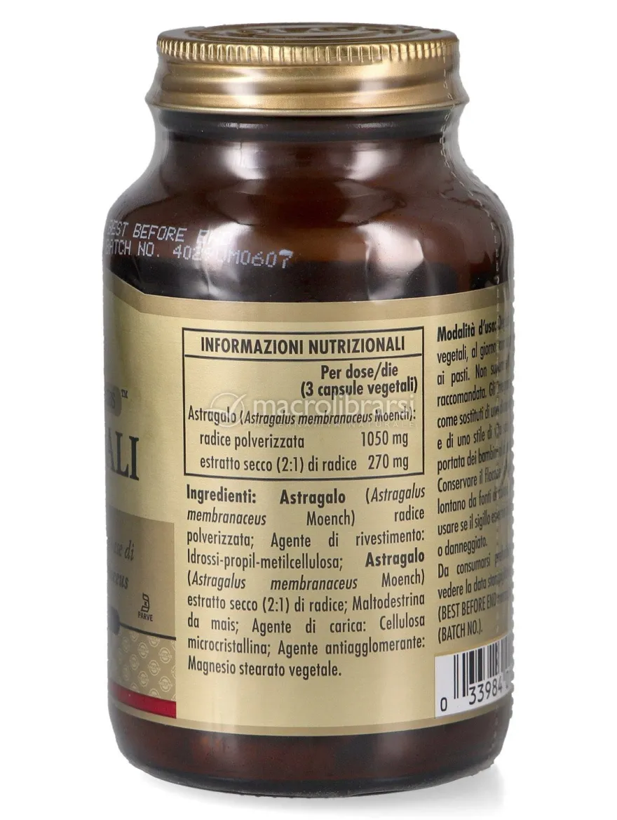 Astragali