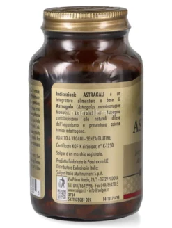Astragali