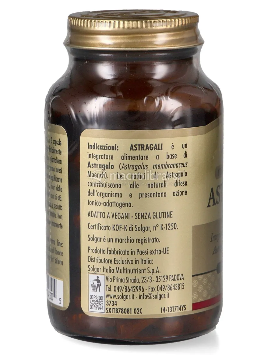 Astragali