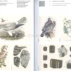 Atlante Cromatico della Natura