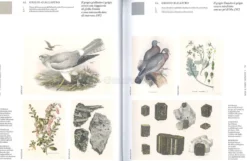 Atlante Cromatico della Natura