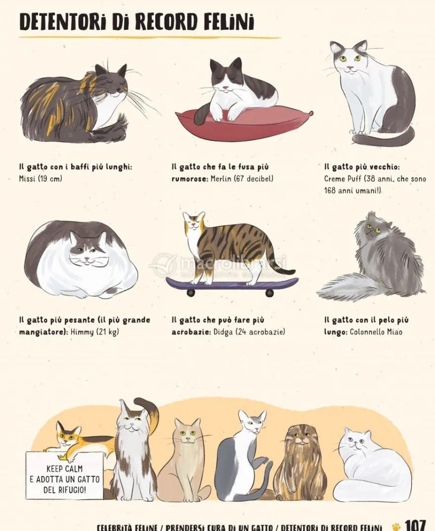 Atlante dei Gatti