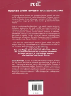 Atlante del Sistema Nervoso in Reflessologia Plantare