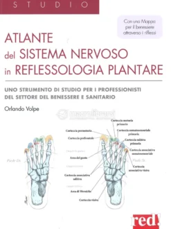Atlante del Sistema Nervoso in Reflessologia Plantare