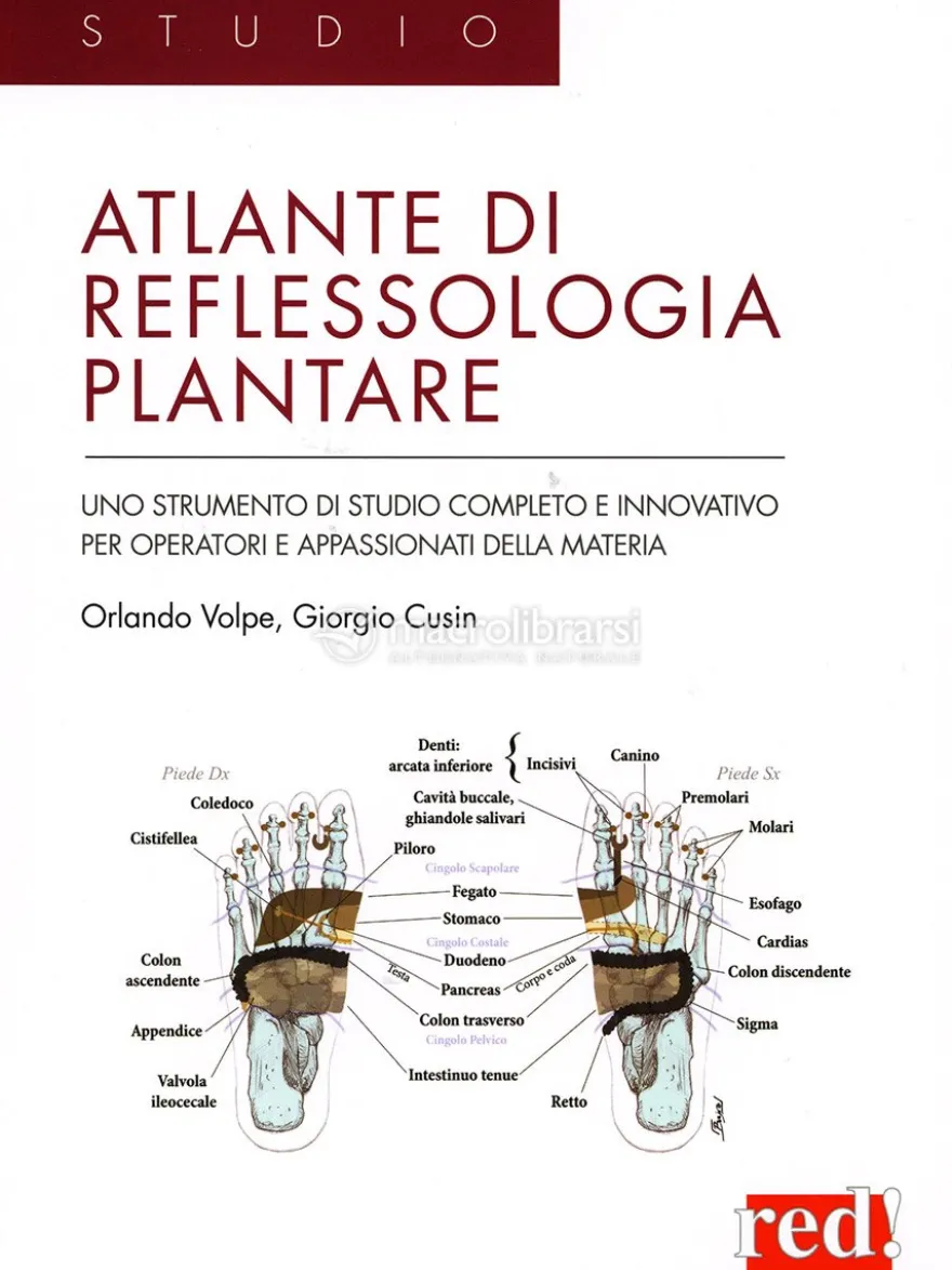 Atlante di Riflessologia Plantare