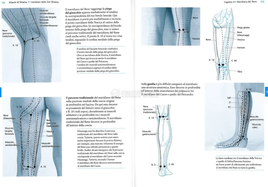 Atlante di Shiatsu