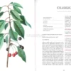 Atlante Gastronomico della Frutta