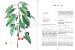 Atlante Gastronomico della Frutta
