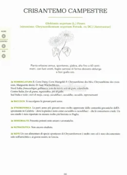 Atlante Gastronomico delle Erbe