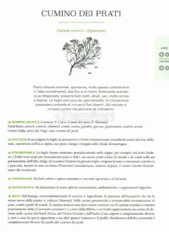 Atlante Gastronomico delle Erbe