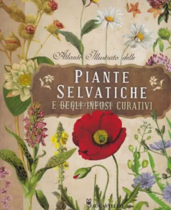 Atlante Illustrato delle Piante Selvatiche e degli Infusi Curativi