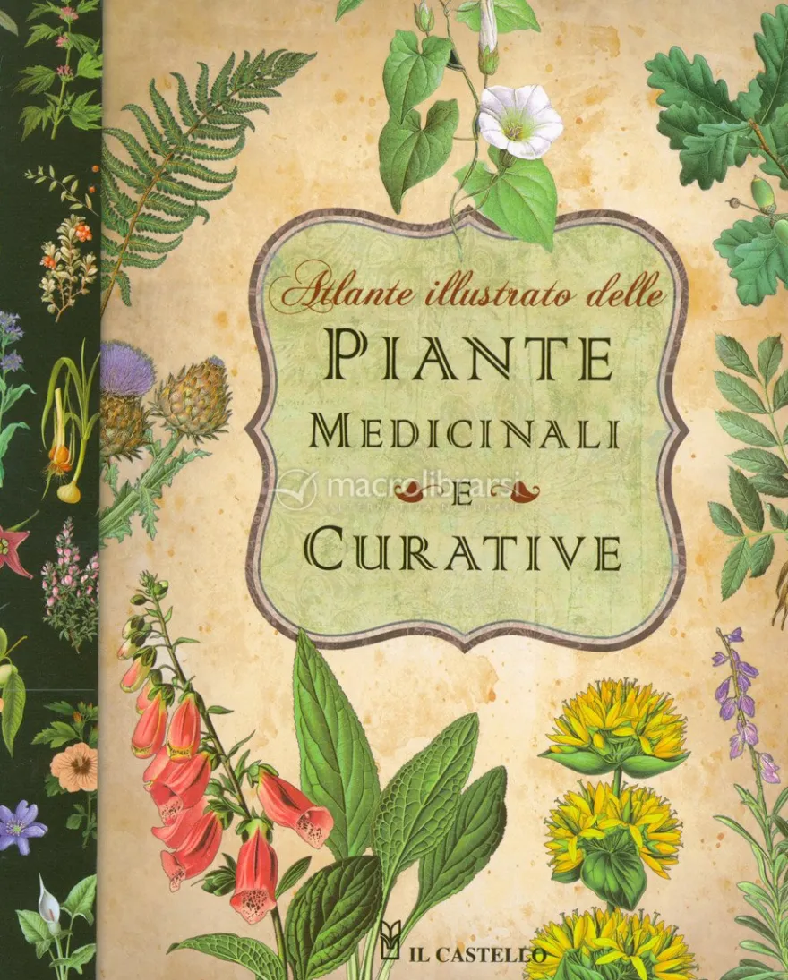 Atlante Illustrato delle Piante Medicinali e Curative