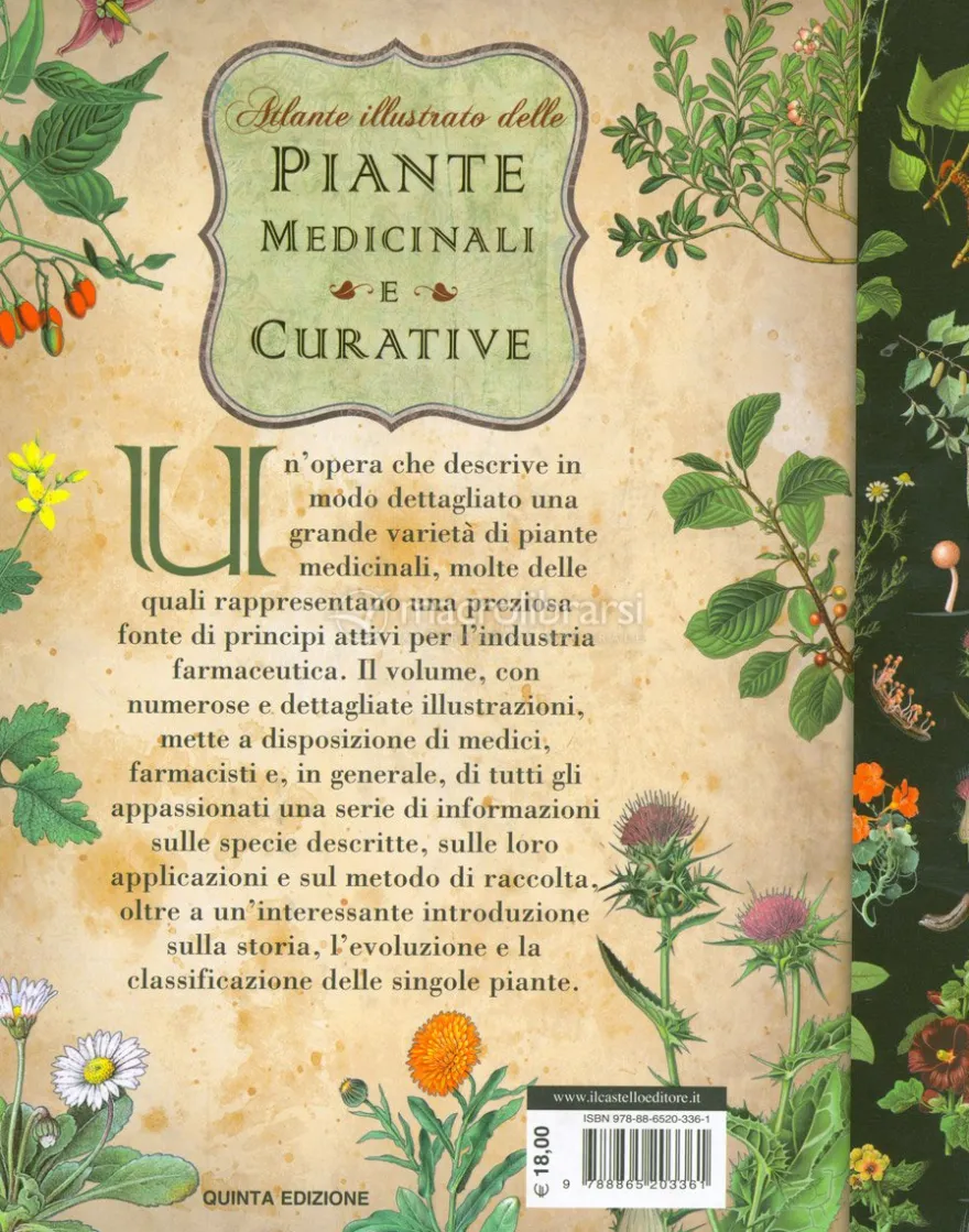 Atlante Illustrato delle Piante Medicinali e Curative