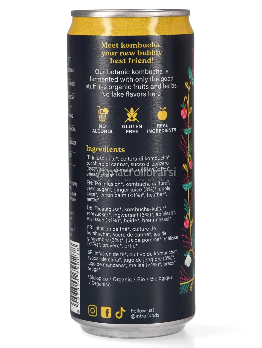 Atomic Ginger Kombucha - Zenzero e Melissa