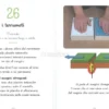 65 Attività Montessori per i 6-12 Anni