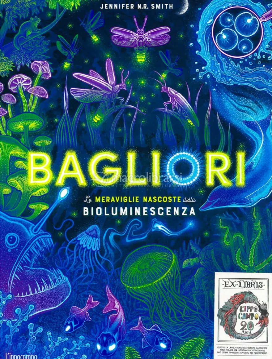Bagliori