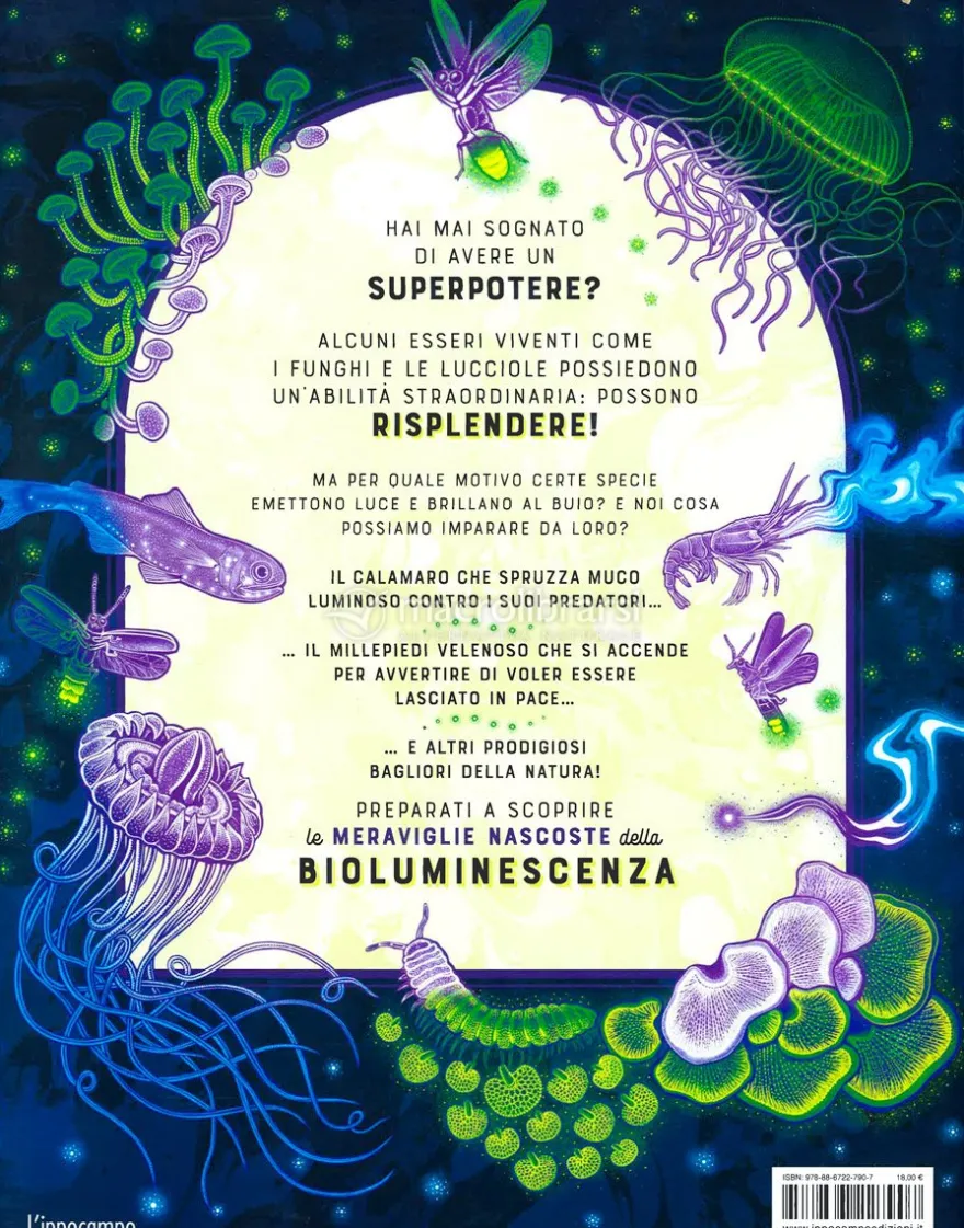 Bagliori
