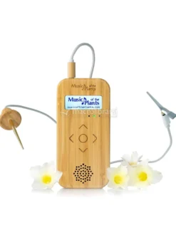 Bamboo M - Apparecchio Elettronico Musicale