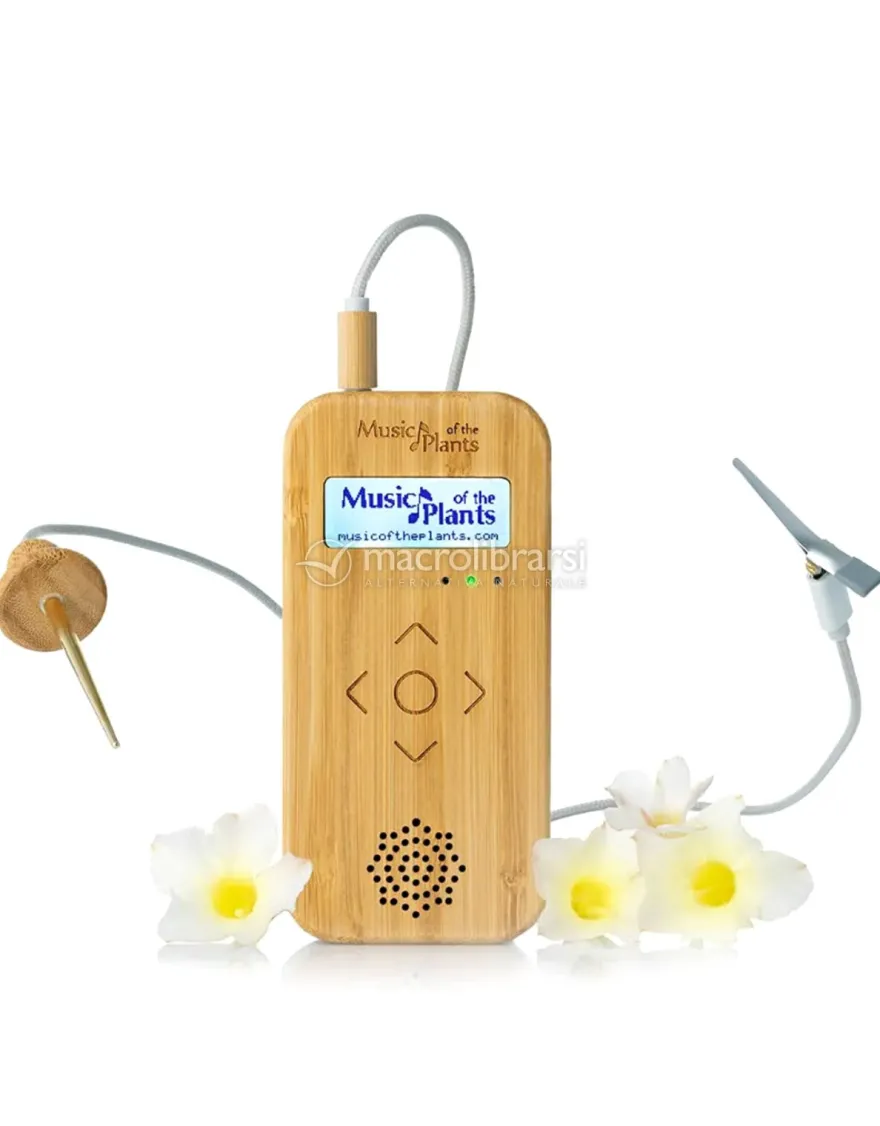 Bamboo M - Apparecchio Elettronico Musicale