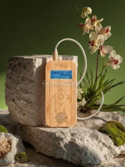 Bamboo M - Apparecchio Elettronico Musicale