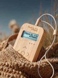 Bamboo M - Apparecchio Elettronico Musicale