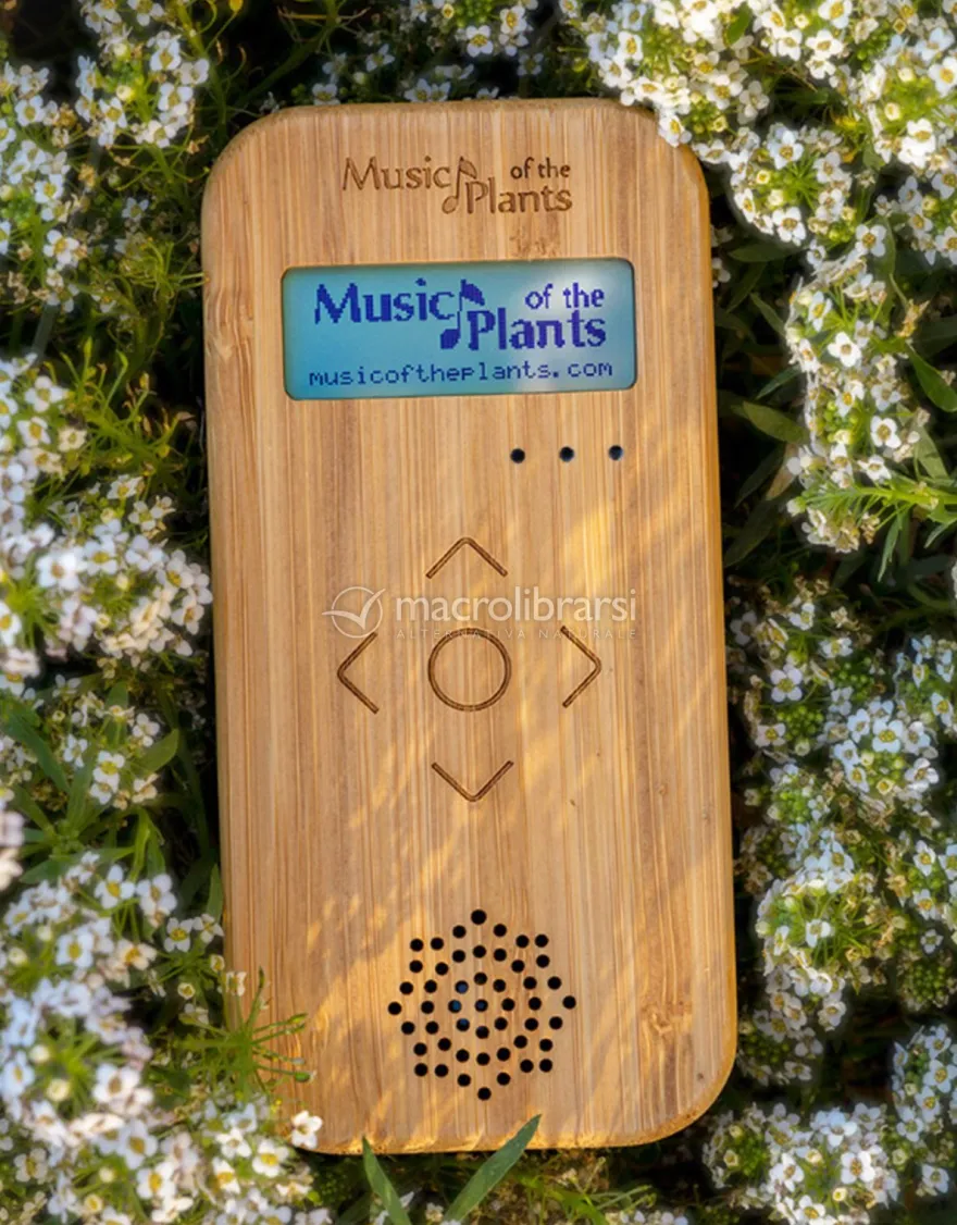 Bamboo M - Apparecchio Elettronico Musicale