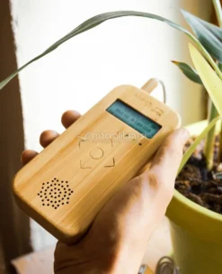 Bamboo M - Apparecchio Elettronico Musicale