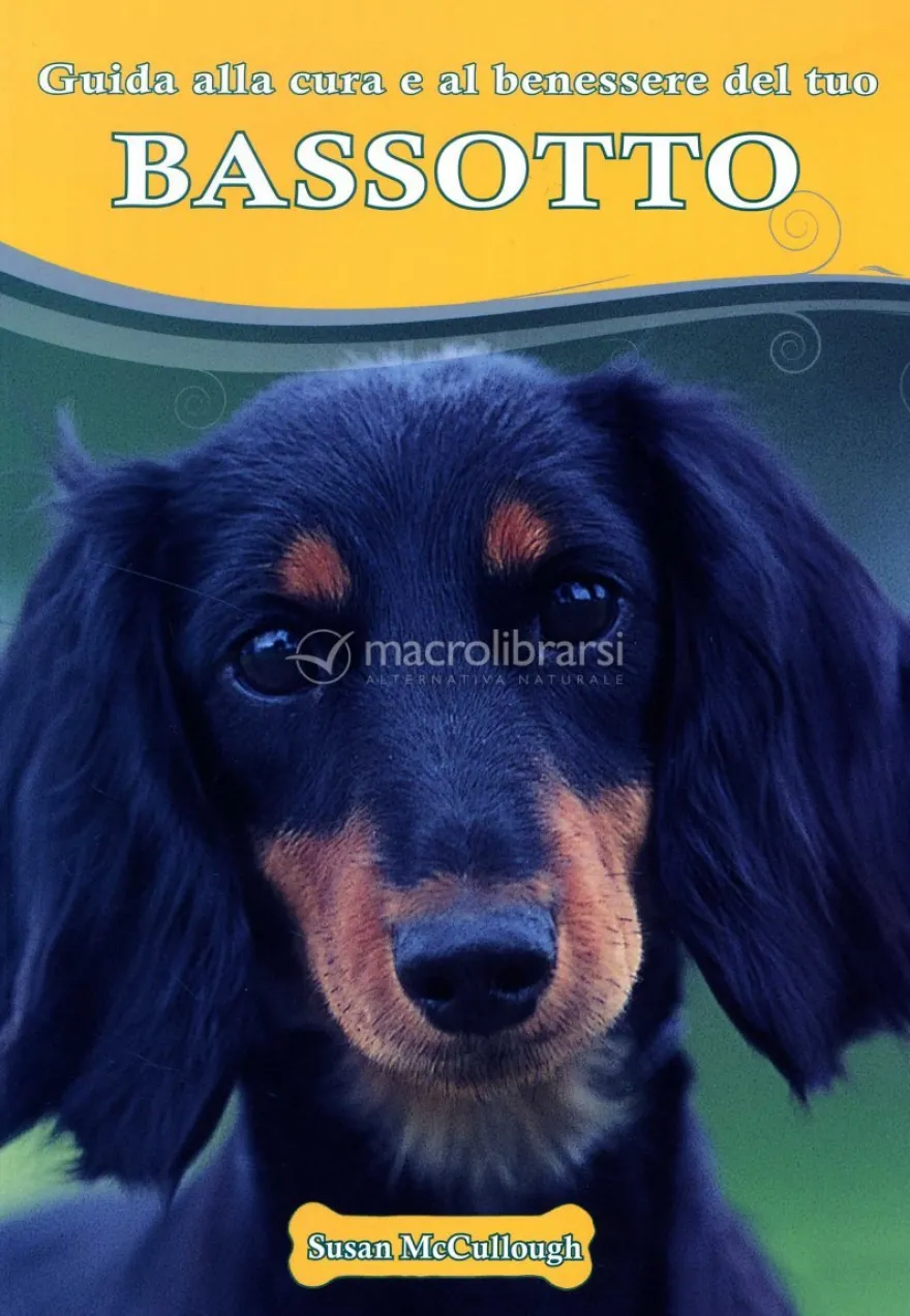 Bassotto