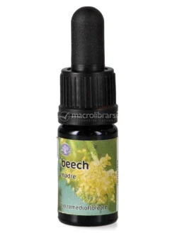 Beech - Soluzione Madre