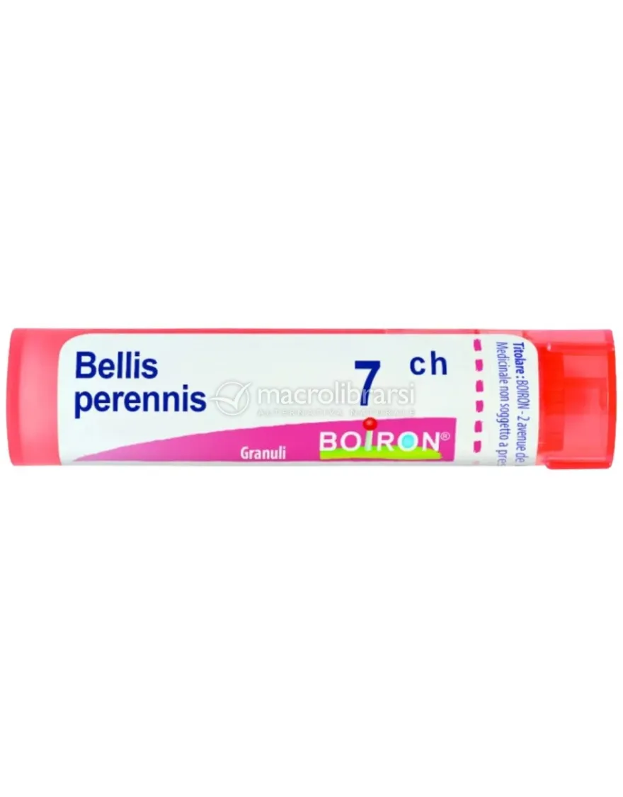 Bellis Perennis Boiron 7CH Granuli