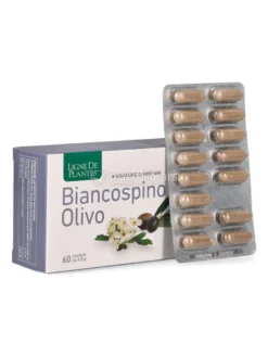 Biancospino Olivo