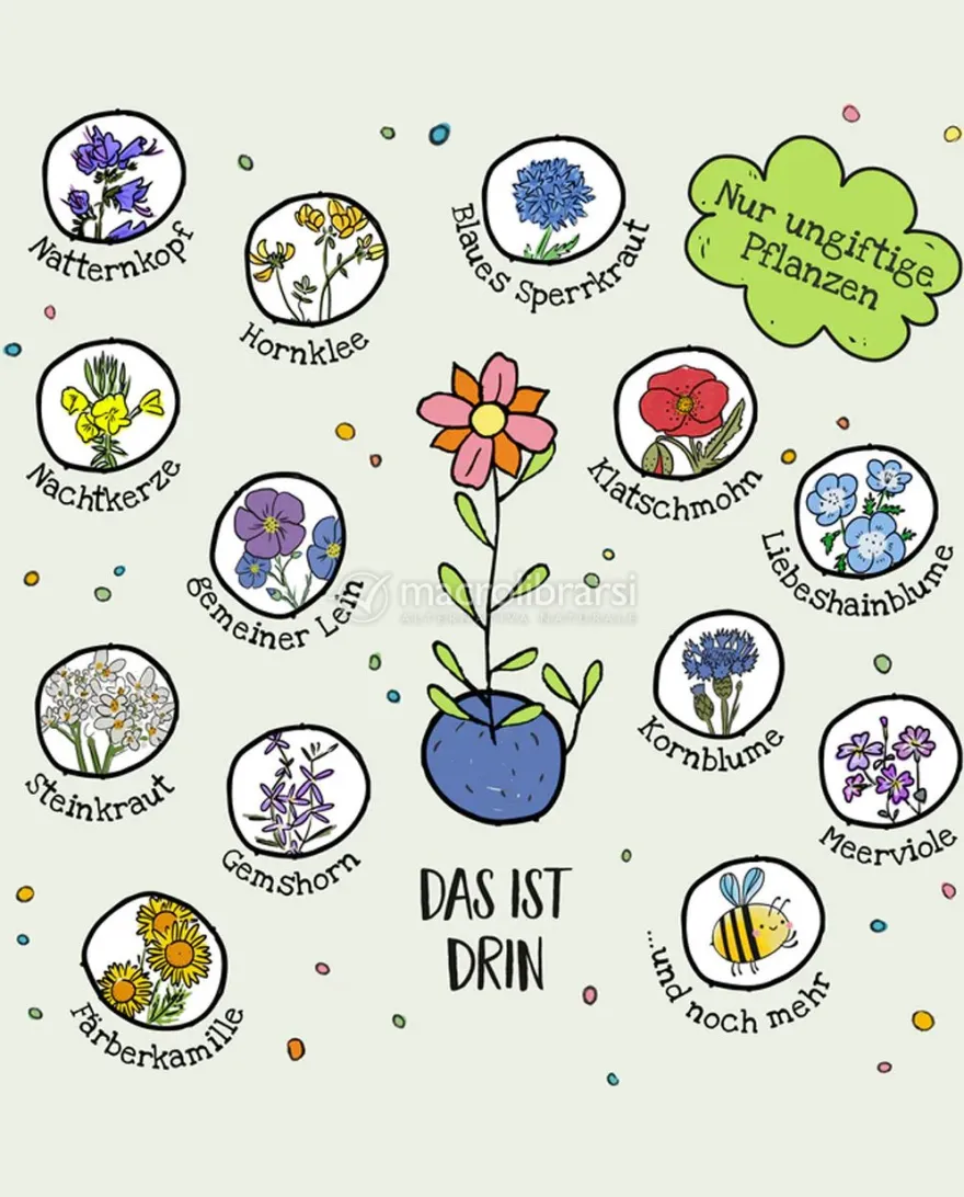 Biglie di Fiori Colorati - Blumenmurmeln