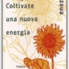 Biodiesel