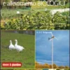 Bioedilizia, Agricoltura e Allevamento Biologici