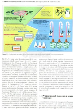 Biotecnologie Sostenibili