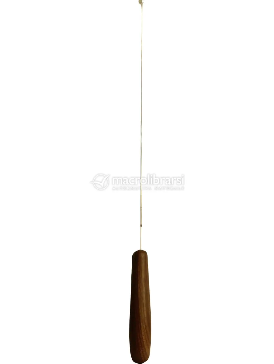 Biotensor in Legno di Ciliegio - Parsifal