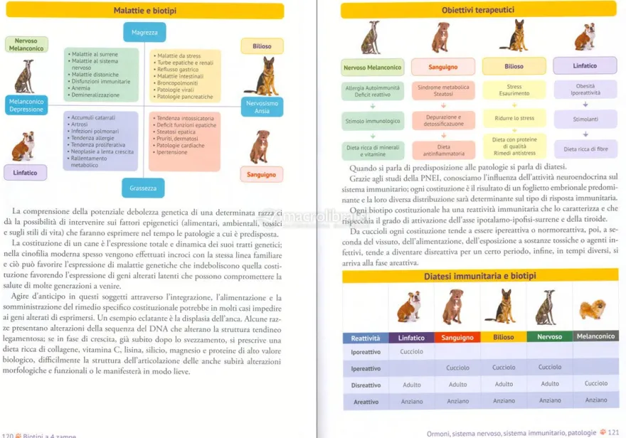 Biotipi a 4 Zampe